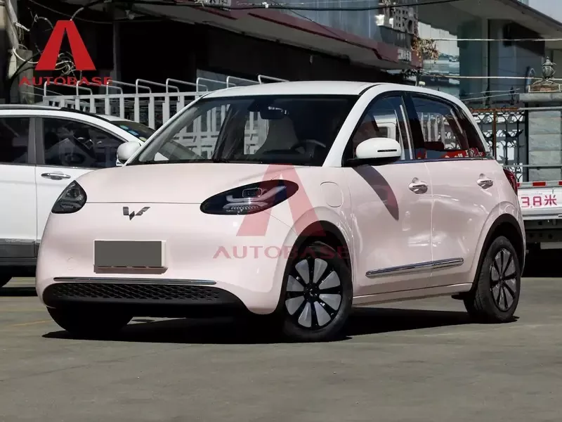 Wuling Bingo Wuling Bingo